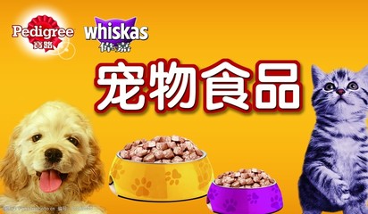 宠物用品